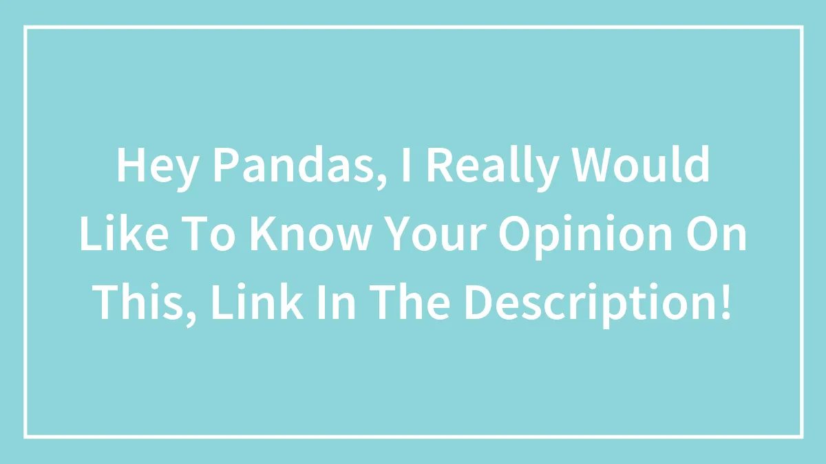 Hey Pandas, I Really Would Like To Know Your Opinion On This, Link In The Description!