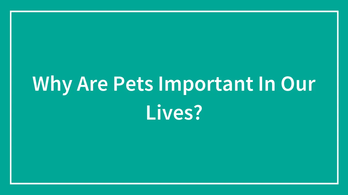 Why Are Pets Important In Our Lives?