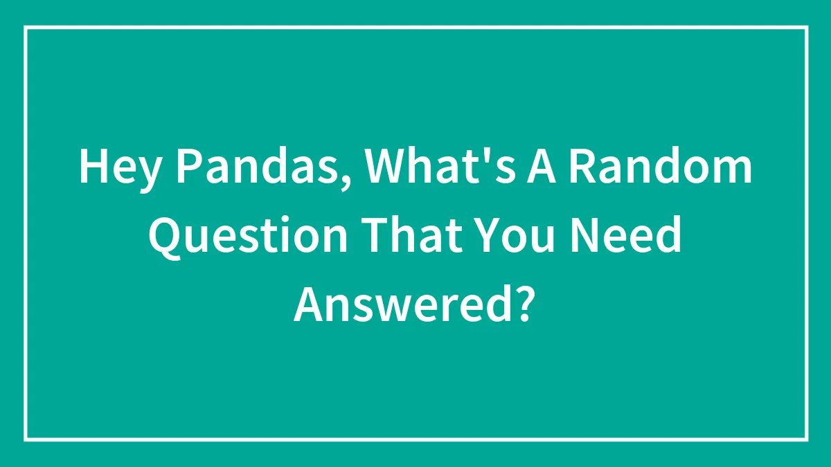 Hey Pandas, What's A Random Question That You Need Answered?