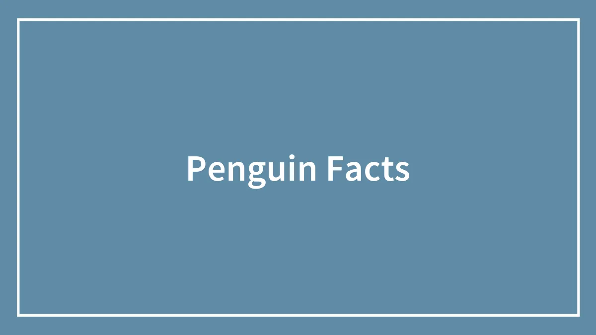 36 Penguin Facts That Shed Some Light On These Awesome Birds