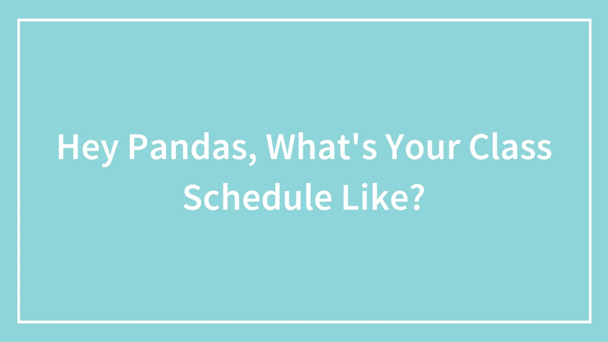 Hey Pandas, What's Your Class Schedule Like?