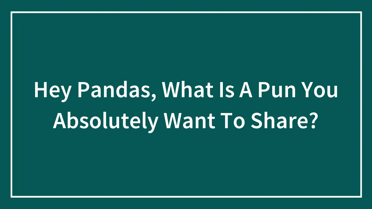 Hey Pandas, What Is A Pun You Absolutely Want To Share? (Closed)