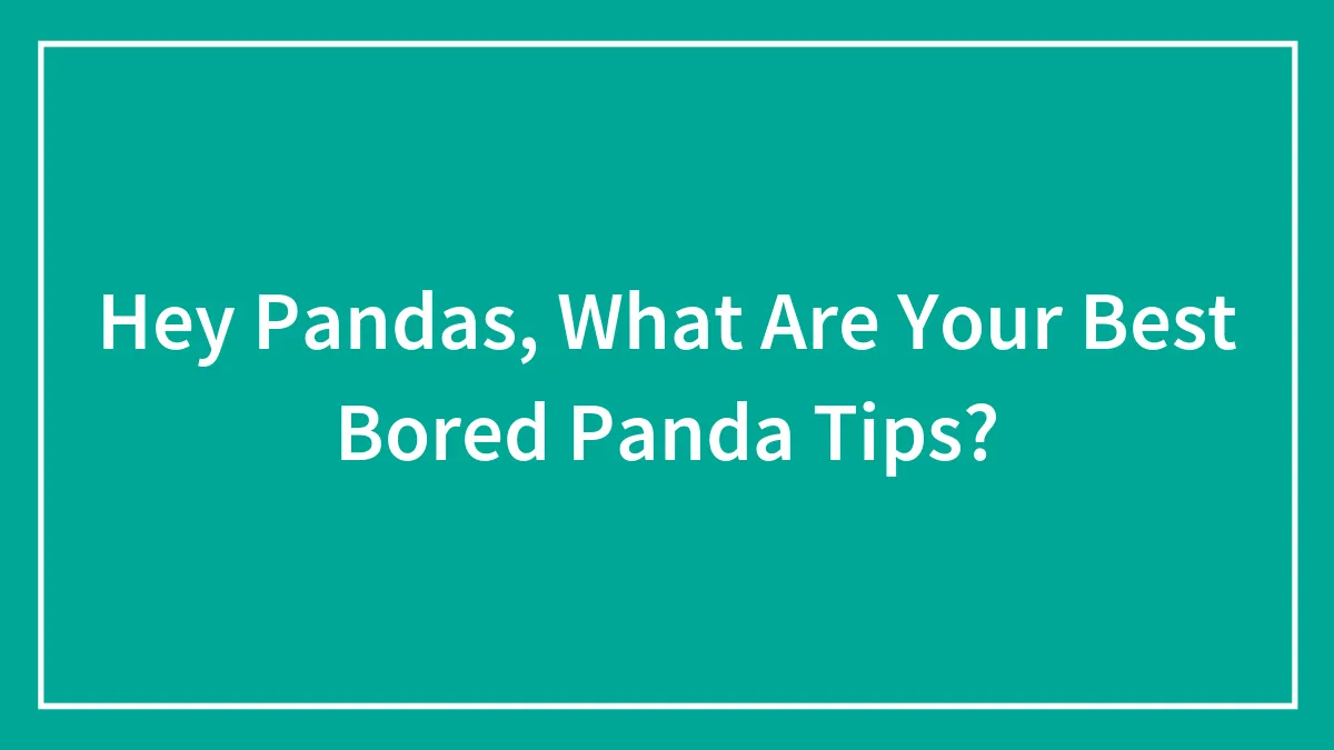 Hey Pandas, What Are Your Best Bored Panda Tips? (Closed)