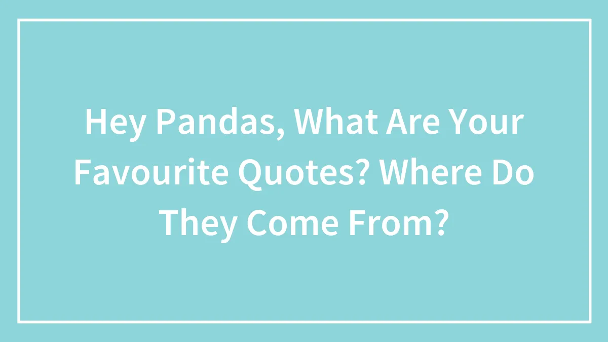 Hey Pandas, What Are Your Favourite Quotes? (Closed)