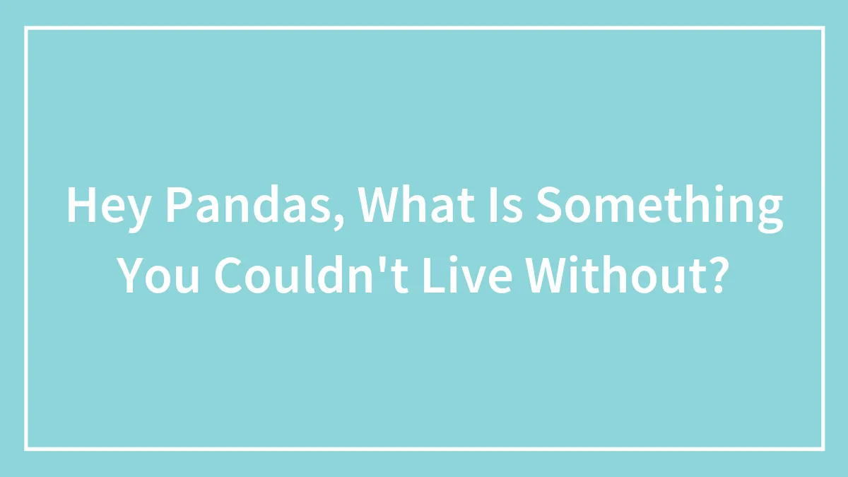 Hey Pandas, What Is Something You Couldn't Live Without? (Closed)