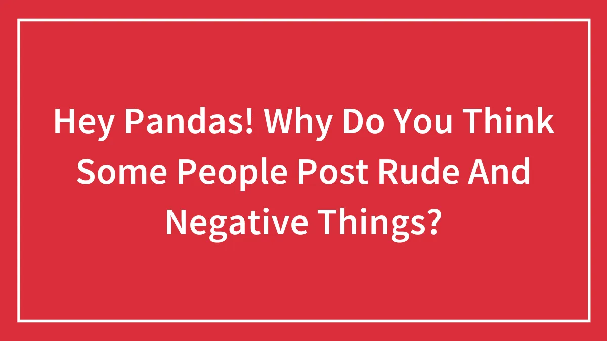 Hey Pandas! Why Do You Think Some People Post Rude And Negative Things?