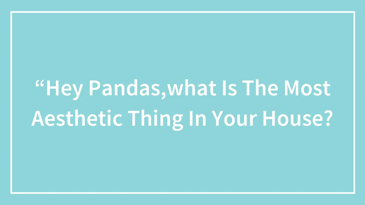 “Hey Pandas,what Is The Most Aesthetic Thing In Your House?