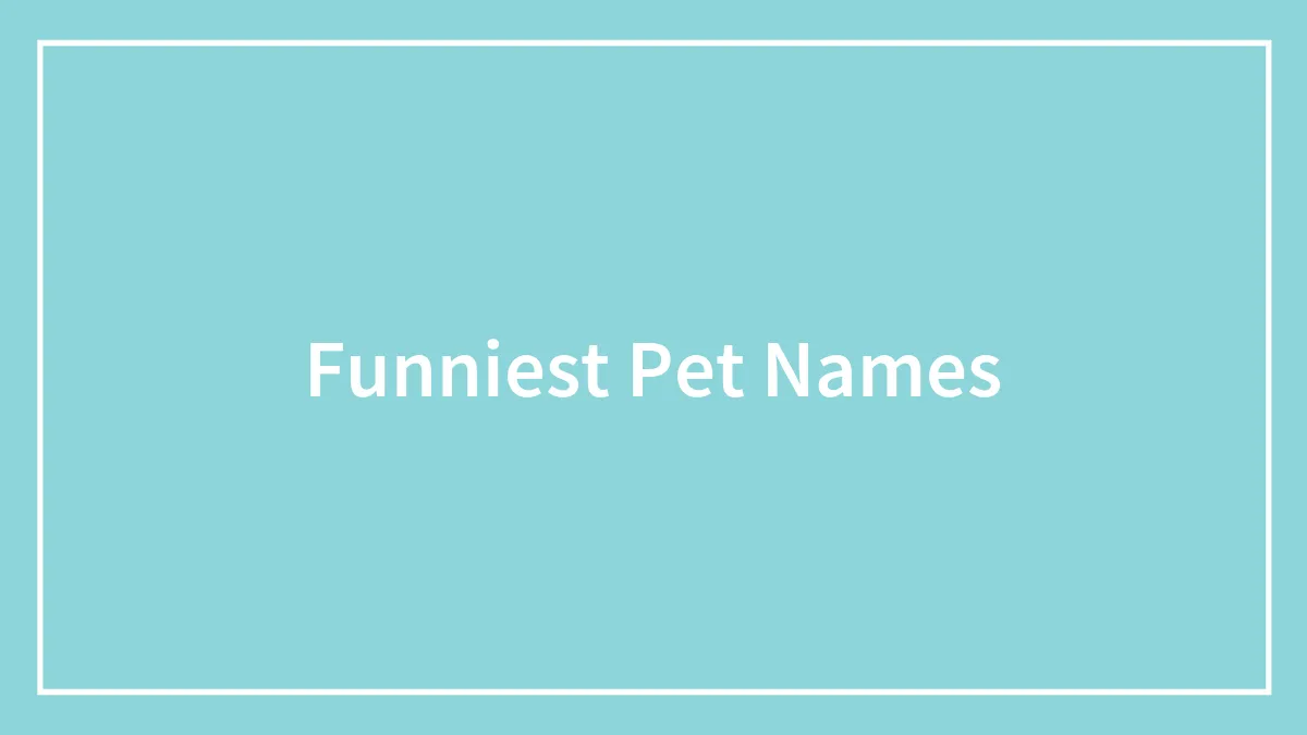 72 Funniest Pet Names That Luckily Our Companions Don’t Understand