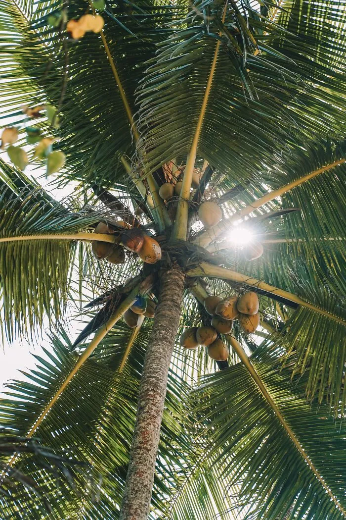 40 Internet Users Warn Everyone About ‘Harmless’ Things That Are, In Fact, Dangerous