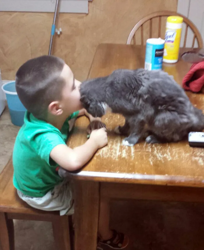 5-Year-Old Boy, 16-Year-Old Bro