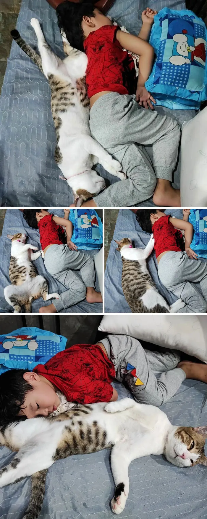 Nanny Sleeps When The Baby Sleeps