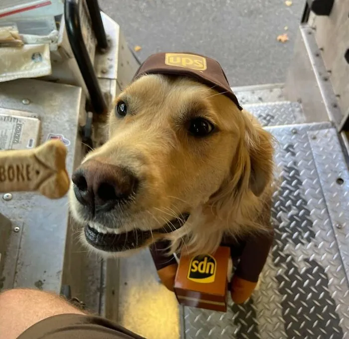 Marvin Dressed Up As Me For Halloween! Quite The Surprise! Somerville Ma