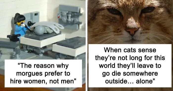 30 Facts That Might Make You Think “Well, That’s Enough Internet For One Day”, As Shared By Folks In This Online Group