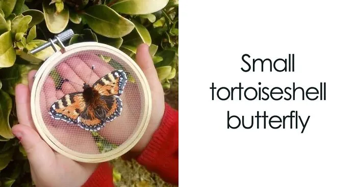 Stitching The Beauty Of Nature: A Collection Of My Favorite Embroidery Pieces (15 Pics)