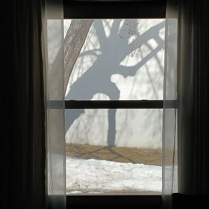 The Ents Are Storming Isengard