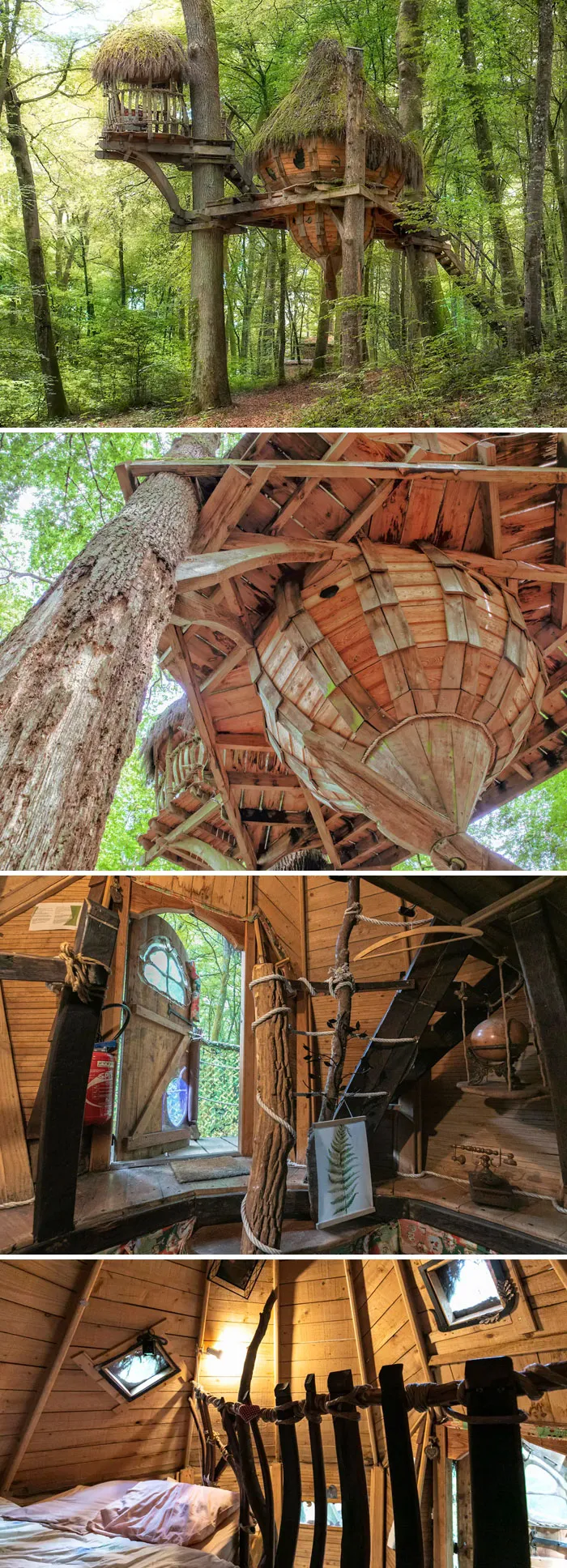 The Shack Tree House. Guyonvelle, Grand Est, France