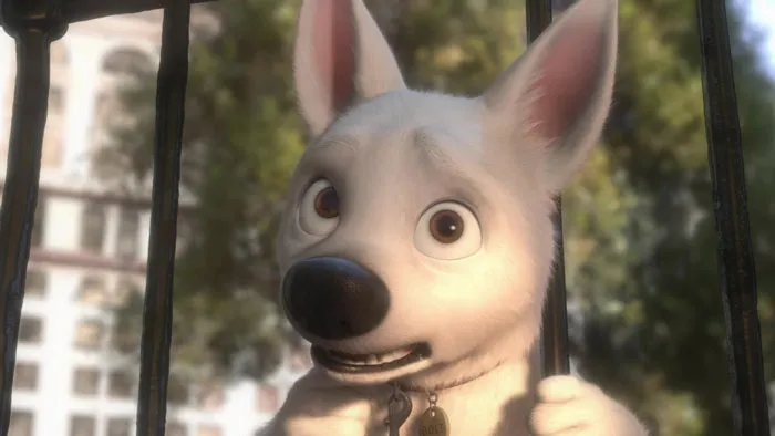 Bolt