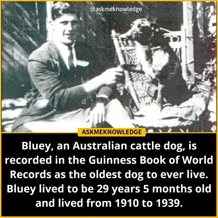 40 Interesting Facts About Practically Everything You Might Not Have Known, Shared By This Instagram Page