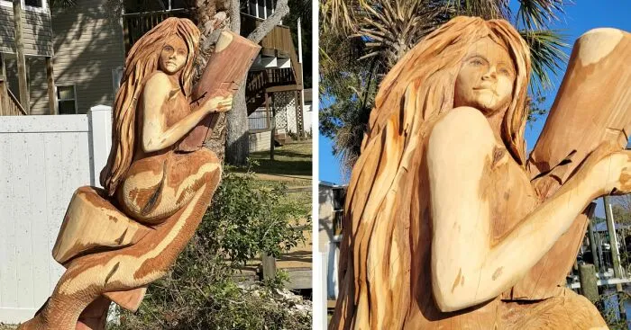 From Cedar Tree To Mermaid (5 Pics)