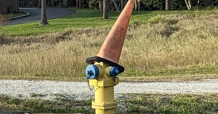 Hey Pandas, Show Me The Most Random Thing You Found On The Side Of The Road (Closed)