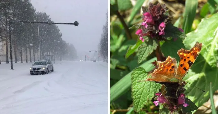 Hey Pandas, Post The First Signs Of Spring (Closed)