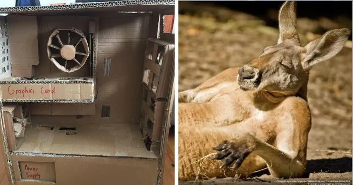 Hey Pandas, Post A Mildly Threatening Thing You Found Online (Closed)
