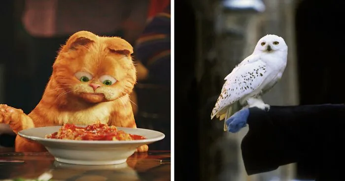 46 Famous Animals And Their Outstanding Stories