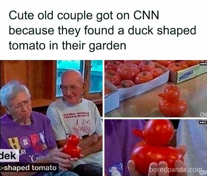 “Boys Who Can Cook”: This Absurd Instagram Account Is Sharing The Cooking Memes We All Need