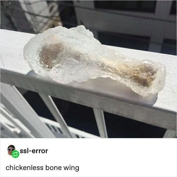 “Boys Who Can Cook”: This Absurd Instagram Account Is Sharing The Cooking Memes We All Need