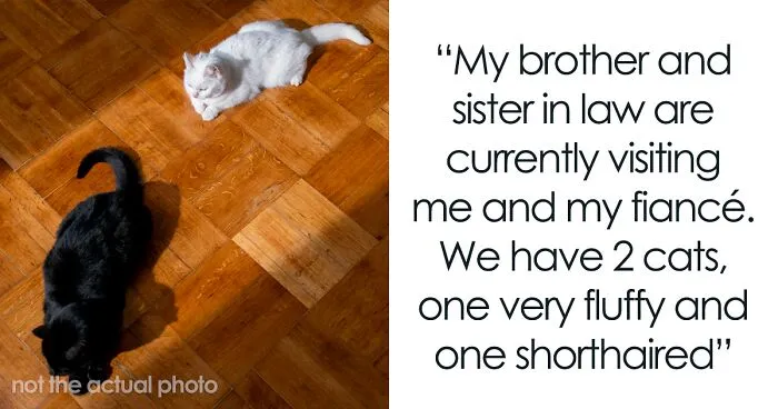 Brother And SIL Come To Visit But Are Upset The Homeowner’s Cat Is Free To Walk Around The House As They Get Startled By It
