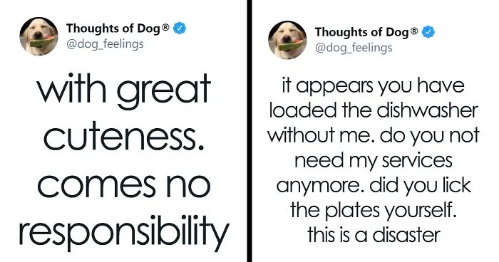 40 Of The Most Hilarious And Wholesome Dog Thoughts, As Shared By This Twitter Account (New Pics)