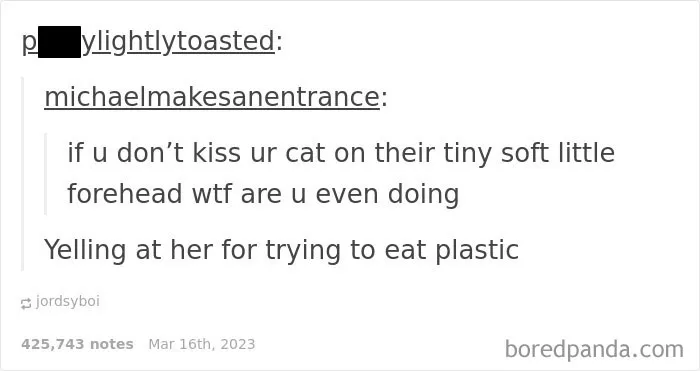 Hilarious screenshots from Tumblr include a post about kissing cats on the forehead and yelling at them.