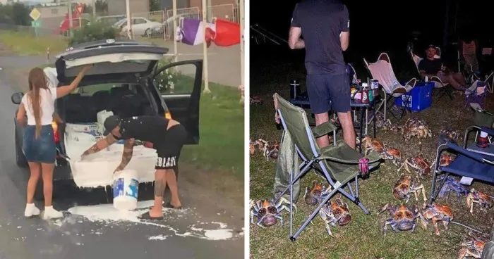 40 Random Pics From The Internet That Are So Weird They're Funny, As Shared On This Twitter Account