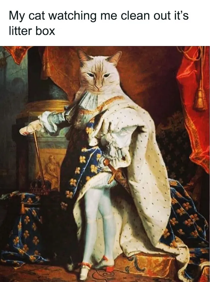 50 Hilariously Relatable Classical Art Memes That Might Make You Laugh