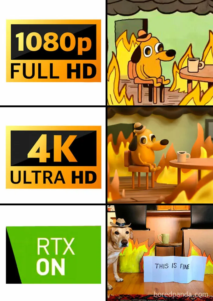 Evolution