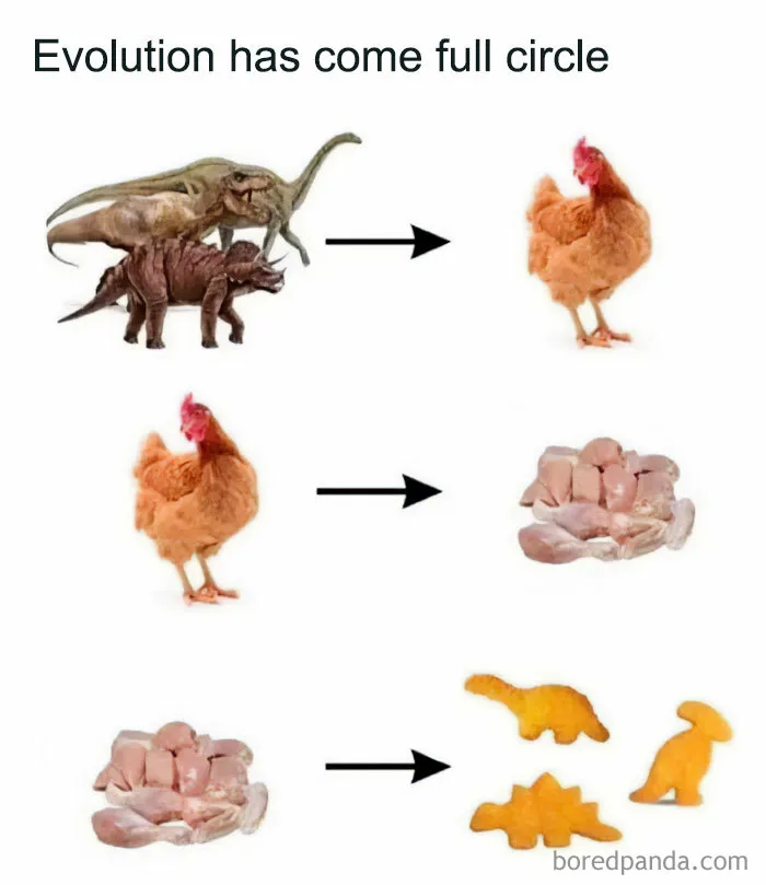 Full Circle