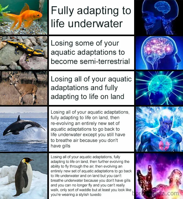 Evolution Is Unfair