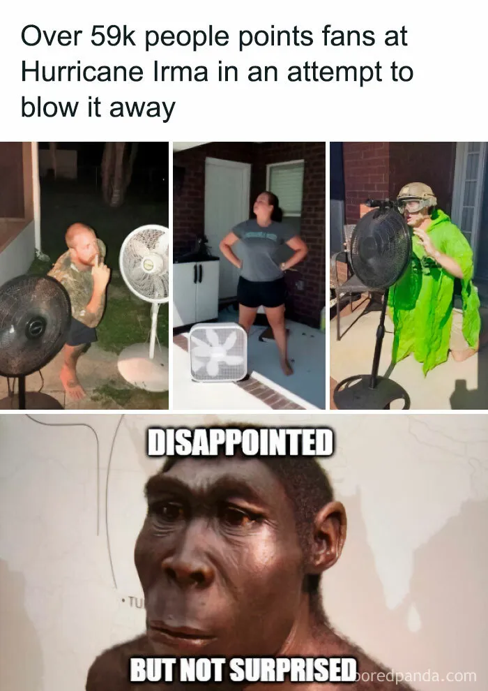 Evolution Is A Lie