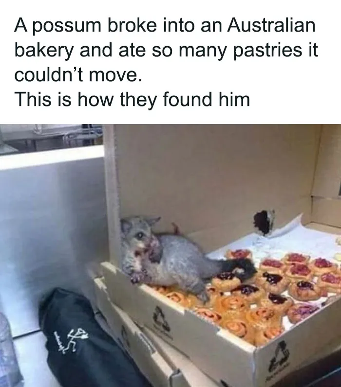 50 Hilariously Relatable Memes About Food Shared On This FB Page (New Pics)