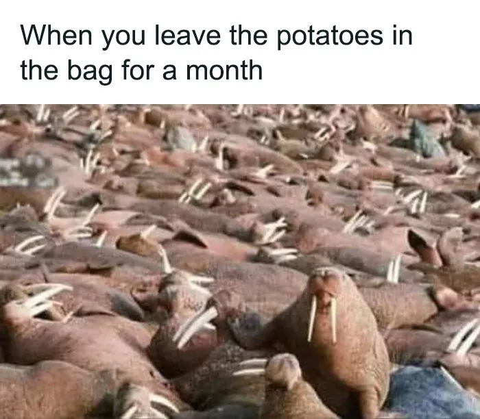 50 Hilariously Relatable Memes About Food Shared On This FB Page (New Pics)