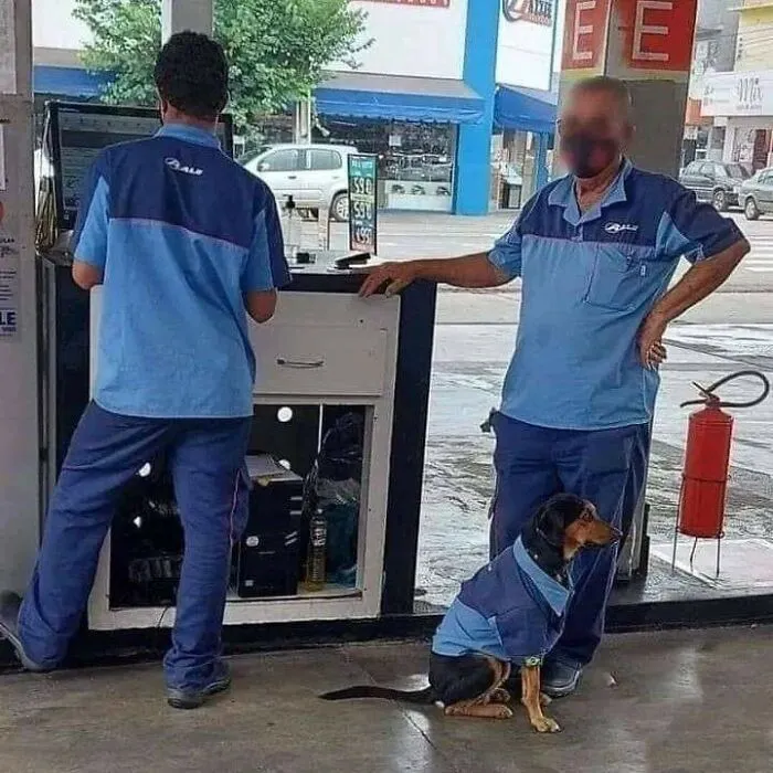 50 Fotos adorables de animales que son demasiado buenas como para no compartirlas