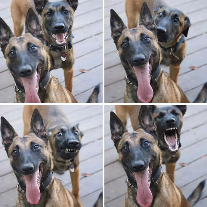 This Is What Stages Of Jealousy Look Like