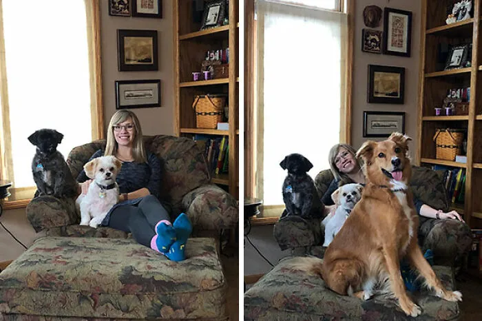 My In-Law's Dogs Posed So Well With My Wife For A Picture, But Our Dog Got Jealous And Wanted To Be In The Shot Too