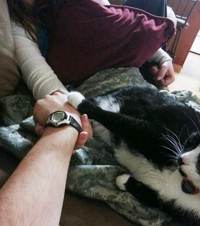 Me estiré para tomar la mano de mi esposa y alguien, de inmediato, se puso celoso