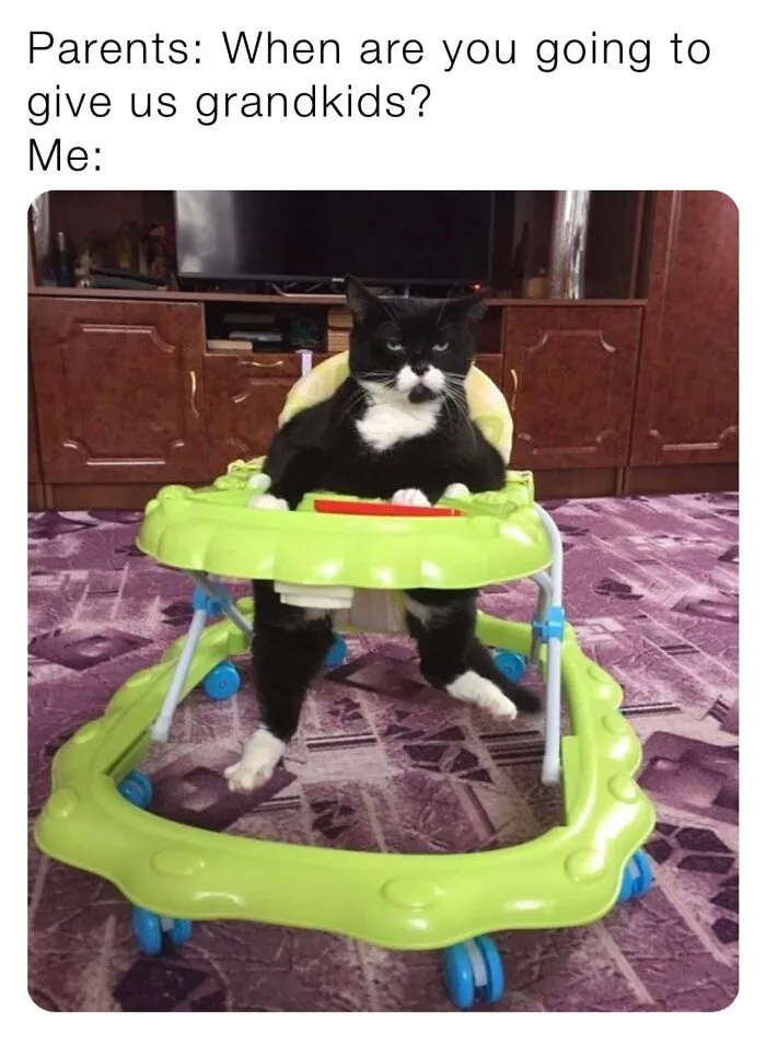 Funny-Kitty-Litterposting-Pics
