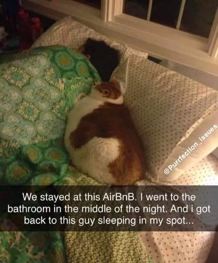 Too Sleepy