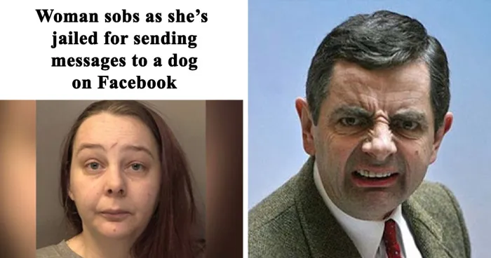 50 ‘Mental Headlines’ That Made People Wonder What The Hell Happened There (New Pics)