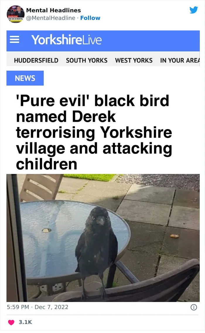 50 ‘Mental Headlines’ That Made People Wonder What The Hell Happened There (New Pics)