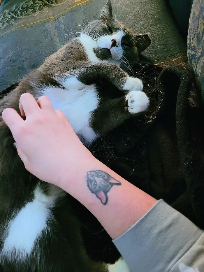About A Year Down To The Same Month I'd Posted About Him In This Group We Decided To Bring Him In