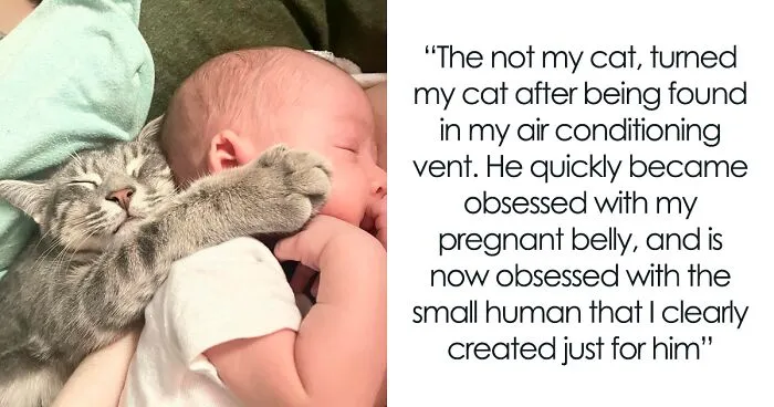 People Are Sharing Photos Of Their Best ‘My House, Not My Cat’ Encounters, And Here Are 50 Of The Newest Pics